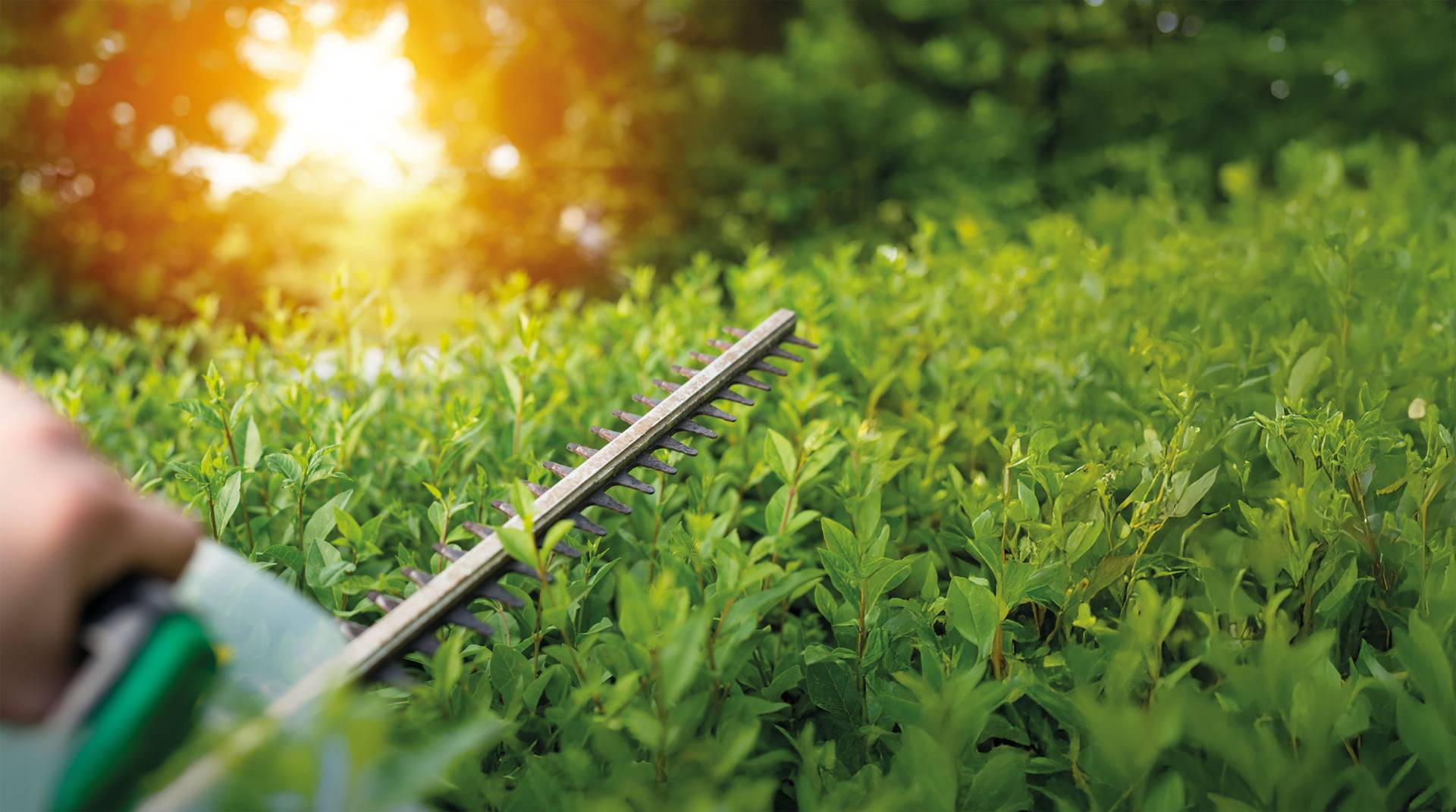 gartenservice